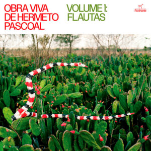 HERMETO PASCOAL - OBRA VIVA DE HERMETO PASCOAL VOL. 1: FLAUTAS (LP)